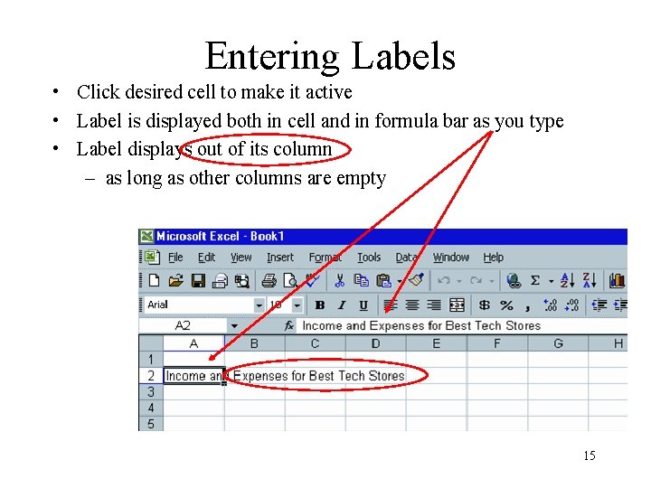 Entering Labels • Click desired cell to make it active • Label is displayed