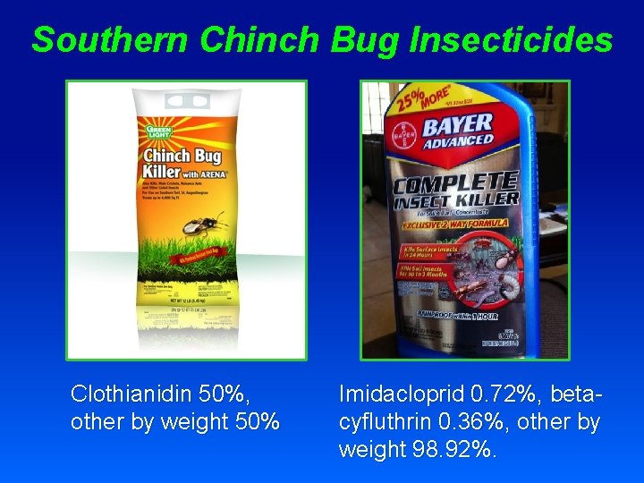 Southern Chinch Bug Insecticides Clothianidin 50%, other by weight 50% Imidacloprid 0. 72%, betacyfluthrin