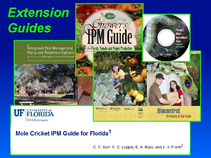 Extension Guides 