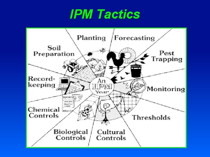 IPM Tactics 