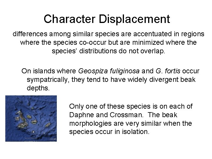 Character Displacement differences among similar species are accentuated in regions where the species co-occur