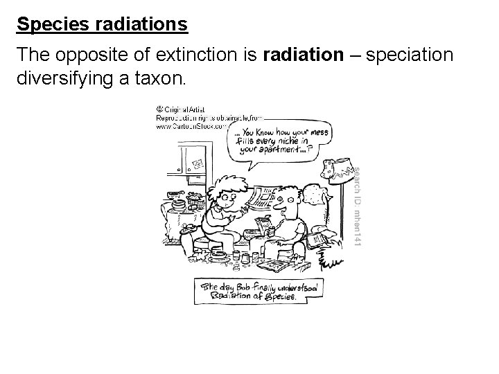 Species radiations The opposite of extinction is radiation – speciation diversifying a taxon. 
