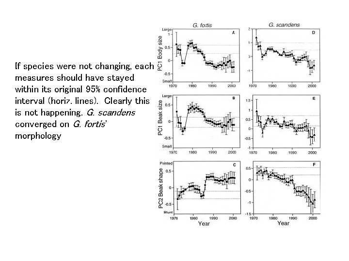 If species were not changing, each measures should have stayed within its original 95%
