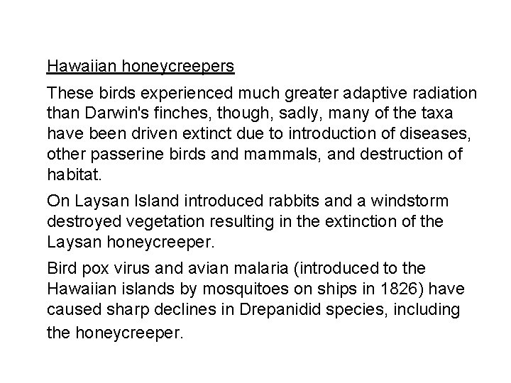 Hawaiian honeycreepers These birds experienced much greater adaptive radiation than Darwin's finches, though, sadly,