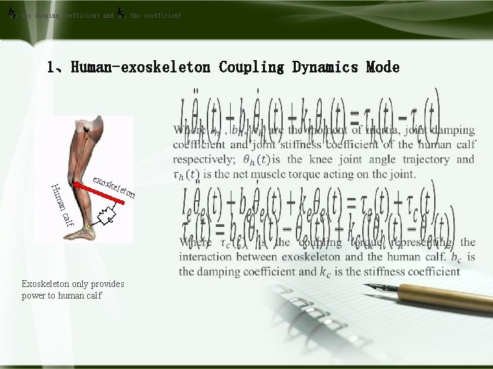 is the damping coefficient and is the coefficient 1、Human-exoskeleton Coupling Dynamics Mode alf an
