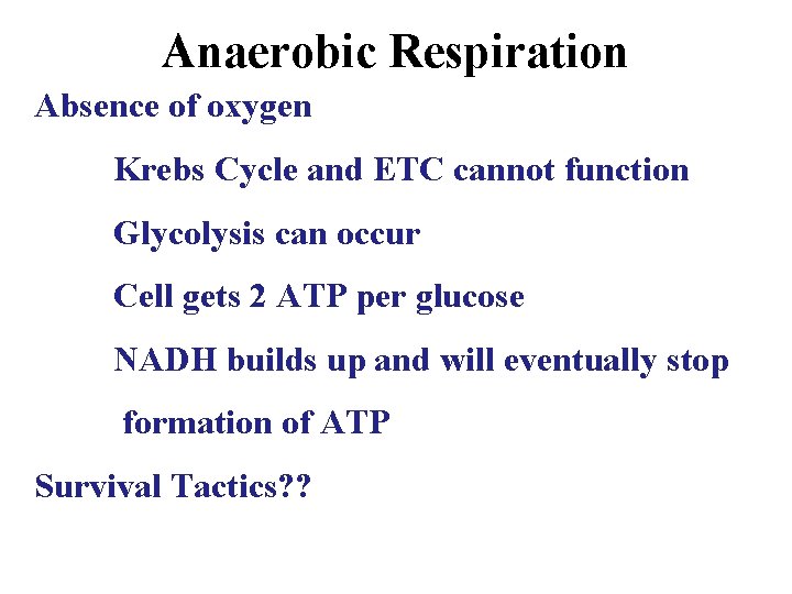 Anaerobic Respiration Absence of oxygen Krebs Cycle and ETC cannot function Glycolysis can occur