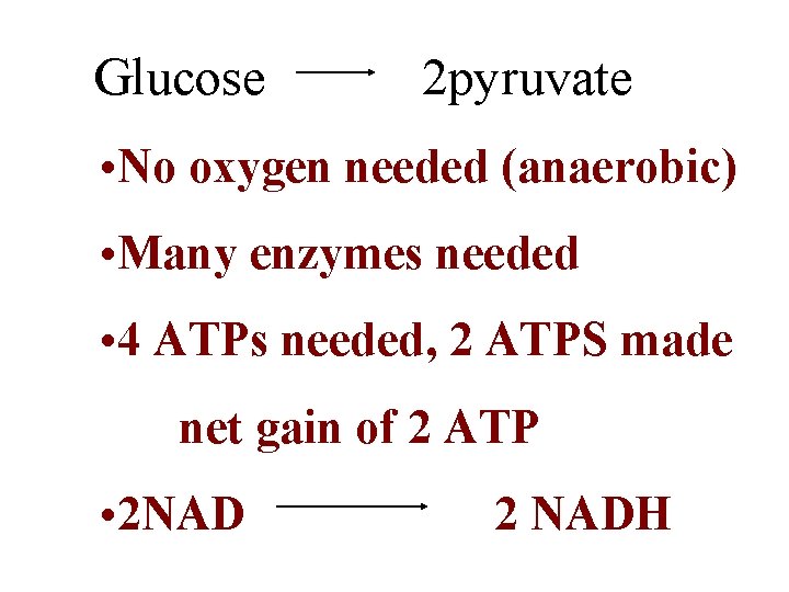 Glucose 2 pyruvate • No oxygen needed (anaerobic) • Many enzymes needed • 4