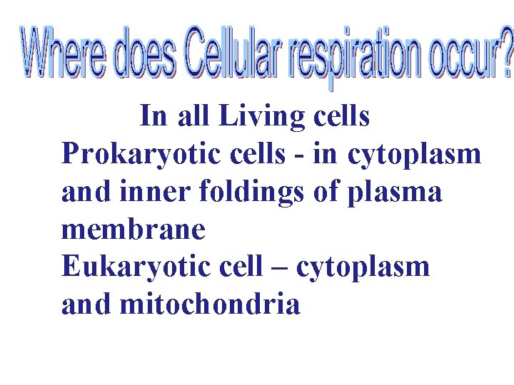 In all Living cells Prokaryotic cells - in cytoplasm and inner foldings of plasma