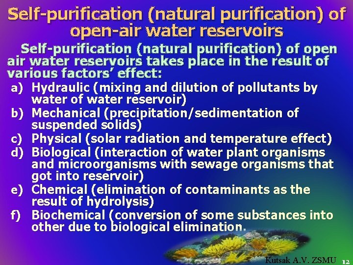 Self-purification (natural purification) of open-air water reservoirs Self-purification (natural purification) of open air water