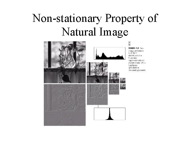 Non-stationary Property of Natural Image Non-stationary Property of Natural Image