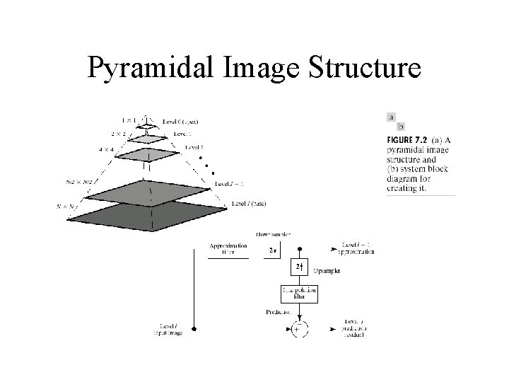 Pyramidal Image Structure 