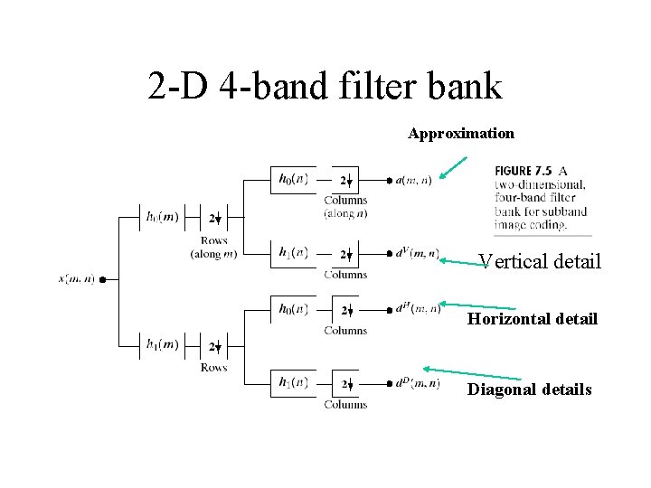 2 -D 4 -band filter bank Approximation Vertical detail Horizontal detail Diagonal details 