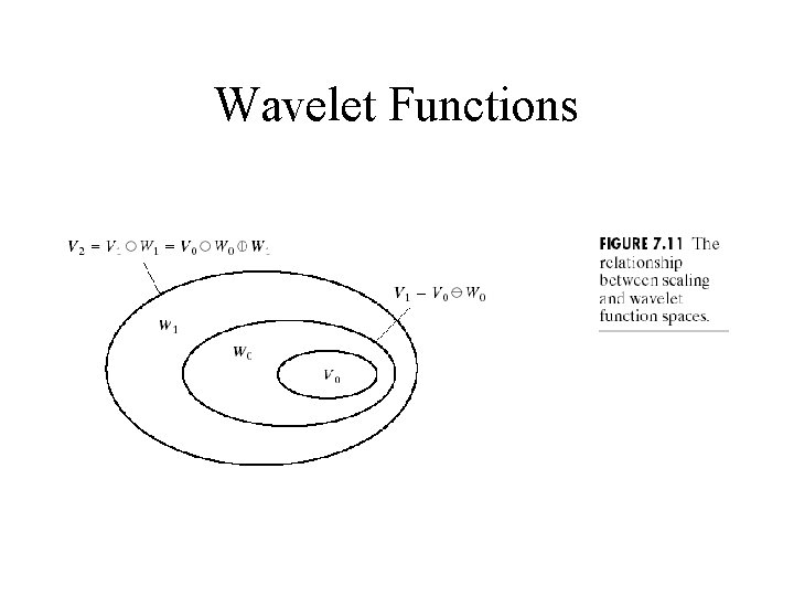 Wavelet Functions 