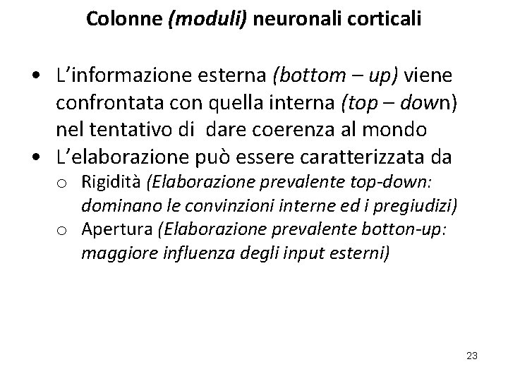 Colonne (moduli) neuronali corticali • L’informazione esterna (bottom – up) viene confrontata con quella