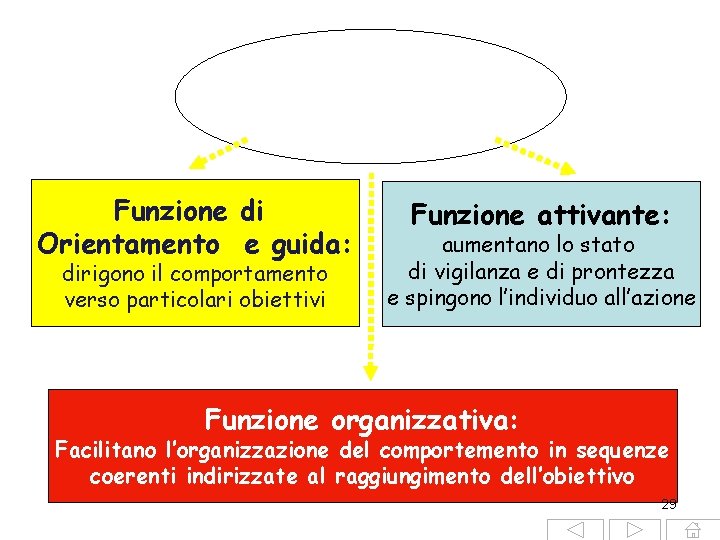 Stati Motivazionali Funzione di Orientamento e guida: dirigono il comportamento verso particolari obiettivi Funzione