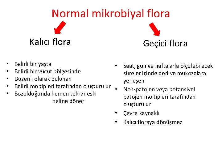 Normal mikrobiyal flora Kalıcı flora • • • Geçici flora Belirli bir yaşta •