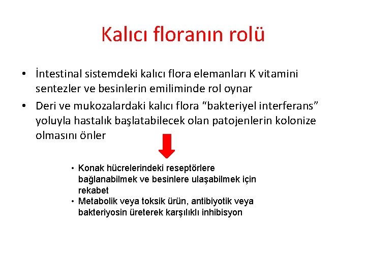 Kalıcı floranın rolü • İntestinal sistemdeki kalıcı flora elemanları K vitamini sentezler ve besinlerin