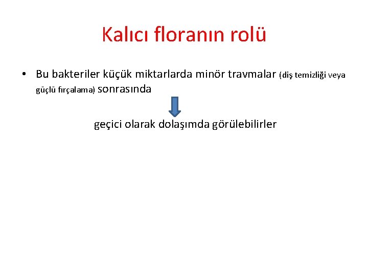 Kalıcı floranın rolü • Bu bakteriler küçük miktarlarda minör travmalar (diş temizliği veya güçlü