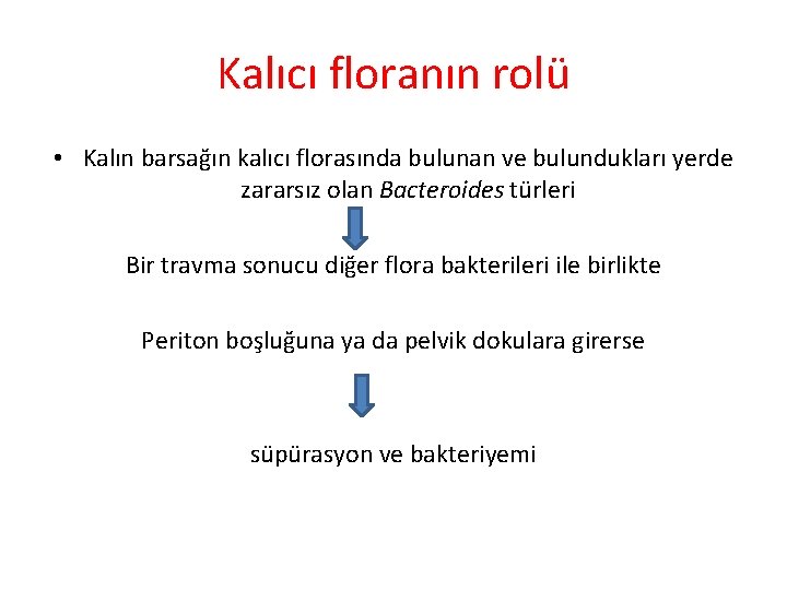 Kalıcı floranın rolü • Kalın barsağın kalıcı florasında bulunan ve bulundukları yerde zararsız olan