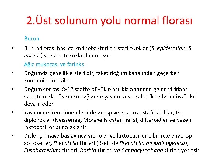 2. Üst solunum yolu normal florası Burun • • • Burun florası başlıca korinebakteriler,