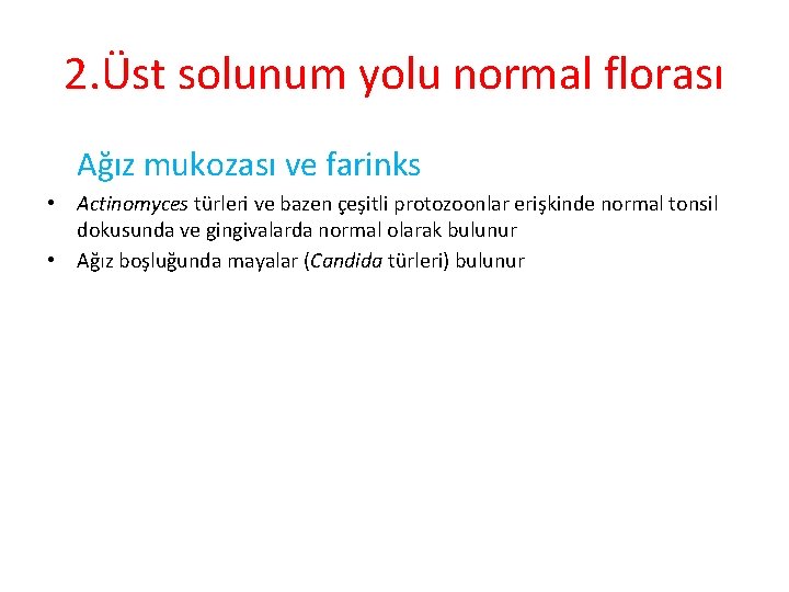 2. Üst solunum yolu normal florası Ağız mukozası ve farinks • Actinomyces türleri ve