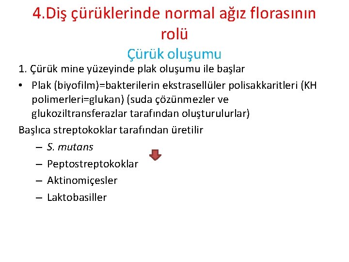 4. Diş çürüklerinde normal ağız florasının rolü Çürük oluşumu 1. Çürük mine yüzeyinde plak