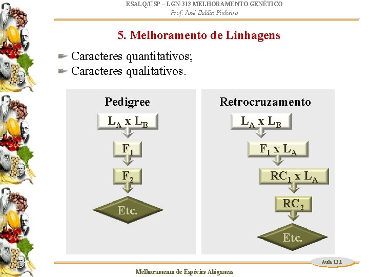 ESALQ/USP – LGN-313 MELHORAMENTO GENÉTICO Prof. José Baldin Pinheiro 5. Melhoramento de Linhagens Caracteres