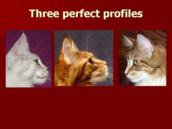 Three perfect profiles 