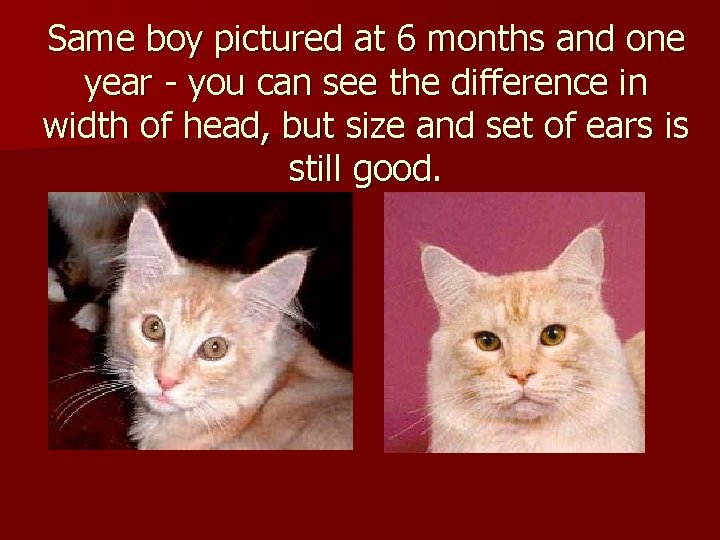 Same boy pictured at 6 months and one year - you can see the