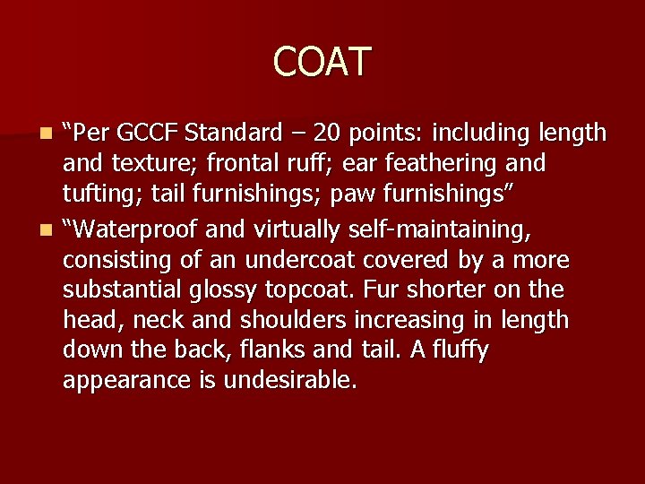 COAT “Per GCCF Standard – 20 points: including length and texture; frontal ruff; ear