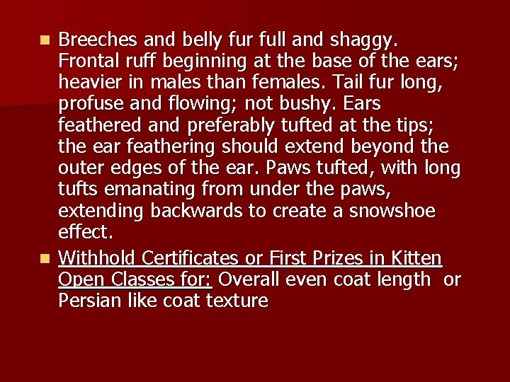 Breeches and belly fur full and shaggy. Frontal ruff beginning at the base of