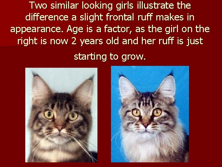 Two similar looking girls illustrate the difference a slight frontal ruff makes in appearance.
