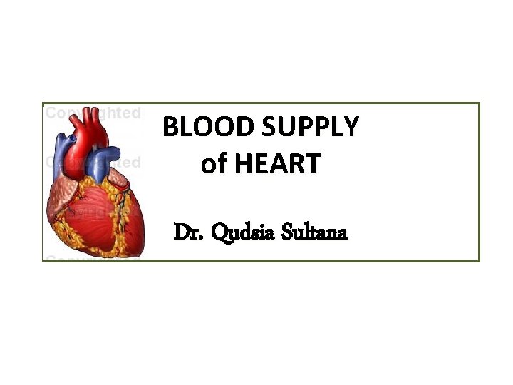 BLOOD SUPPLY of HEART Dr. Qudsia Sultana 