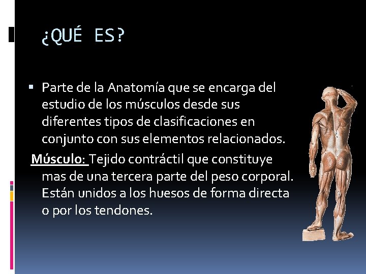 ¿QUÉ ES? Parte de la Anatomía que se encarga del estudio de los músculos