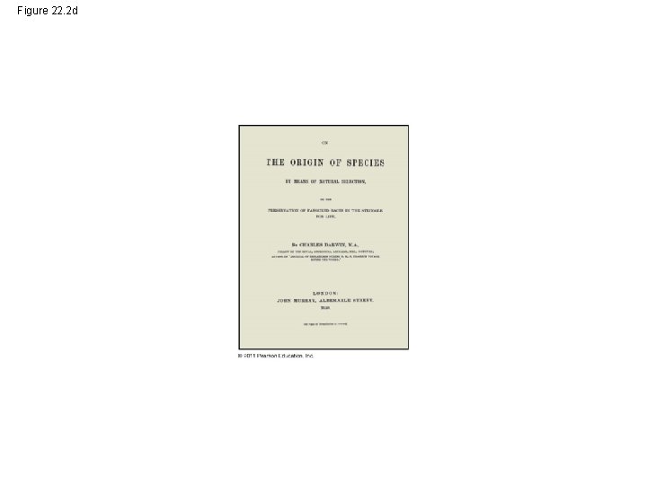 Figure 22. 2 d 