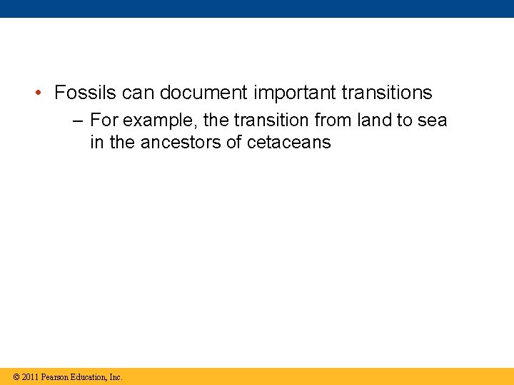  • Fossils can document important transitions – For example, the transition from land