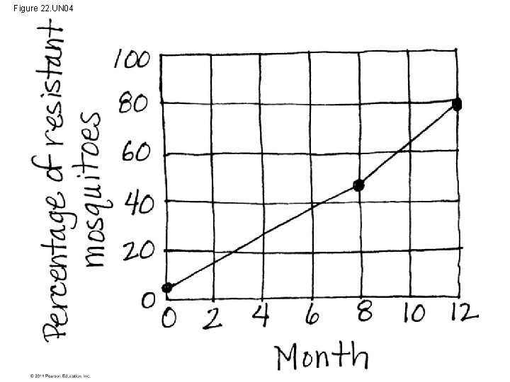 Figure 22. UN 04 