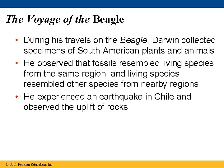 The Voyage of the Beagle • During his travels on the Beagle, Darwin collected