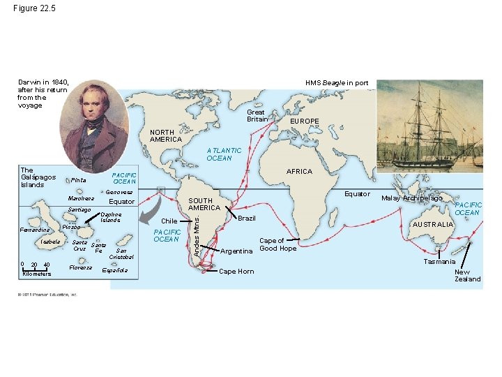 Figure 22. 5 Darwin in 1840, after his return from the voyage HMS Beagle