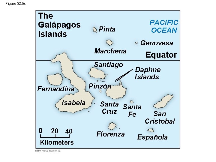 Figure 22. 5 c The Galápagos Islands PACIFIC OCEAN Pinta Genovesa Marchena Santiago Fernandina