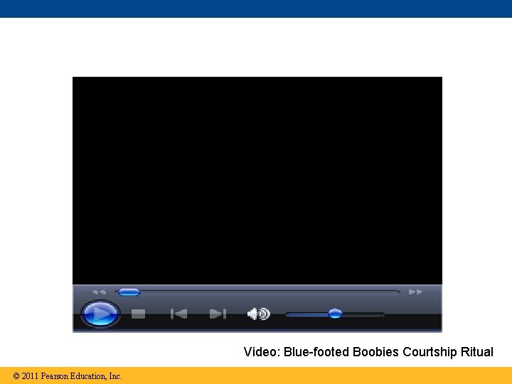 Video: Blue-footed Boobies Courtship Ritual © 2011 Pearson Education, Inc. 