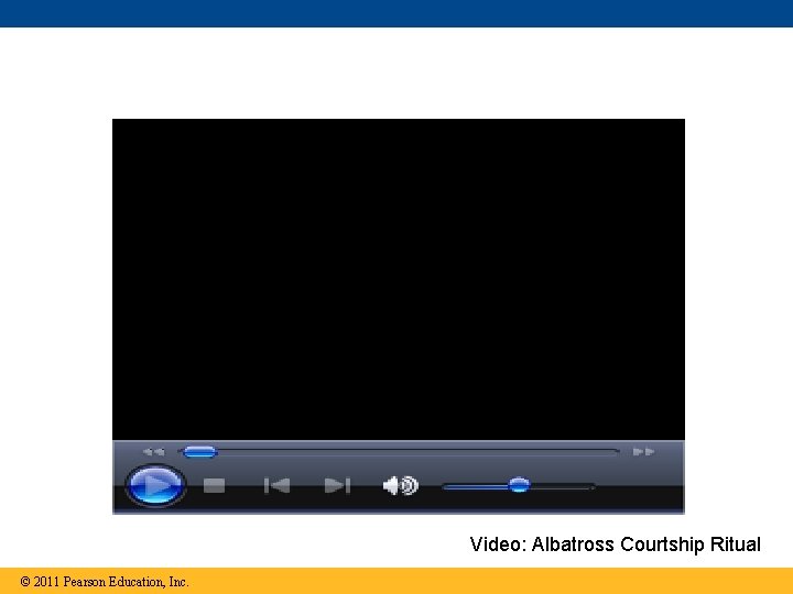 Video: Albatross Courtship Ritual © 2011 Pearson Education, Inc. 