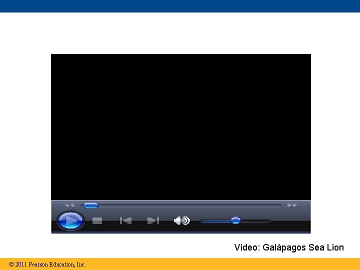 Video: Galápagos Sea Lion © 2011 Pearson Education, Inc. 