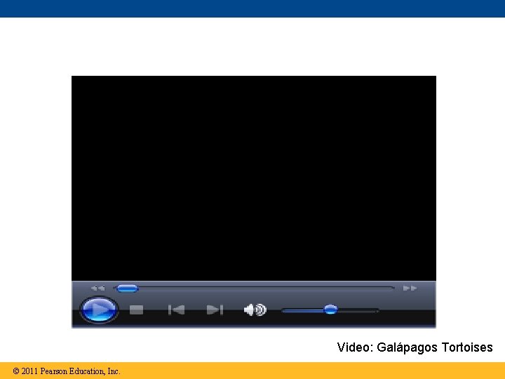 Video: Galápagos Tortoises © 2011 Pearson Education, Inc. 