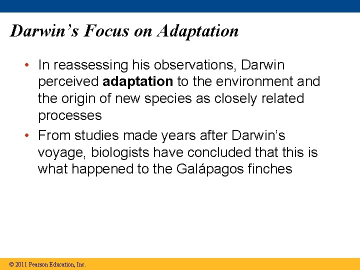 Darwin’s Focus on Adaptation • In reassessing his observations, Darwin perceived adaptation to the