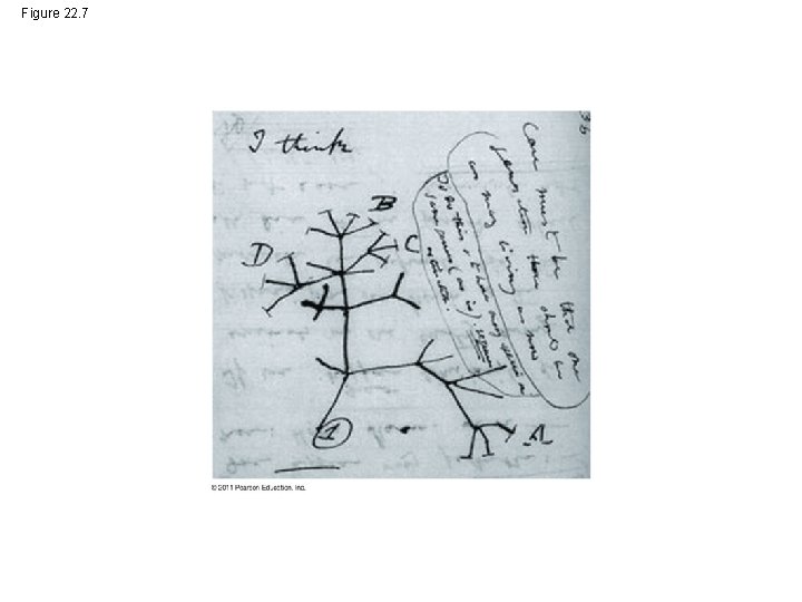 Figure 22. 7 