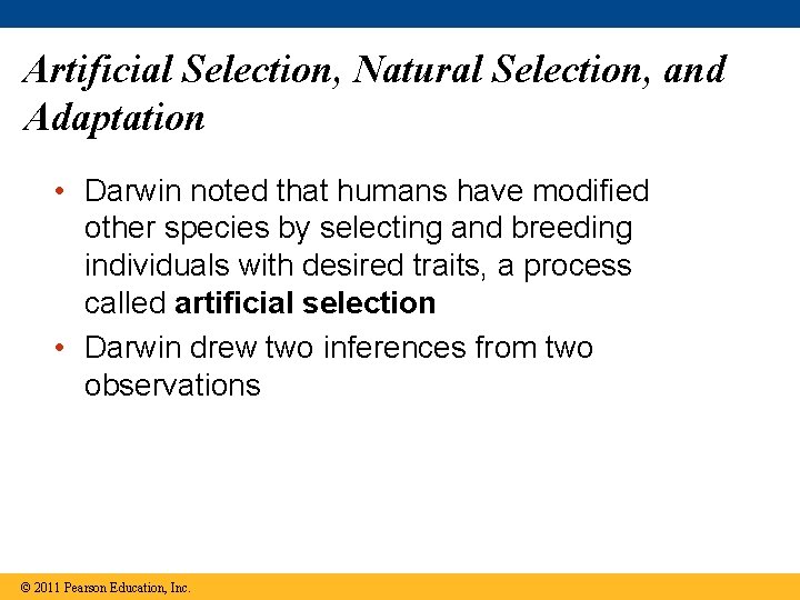Artificial Selection, Natural Selection, and Adaptation • Darwin noted that humans have modified other