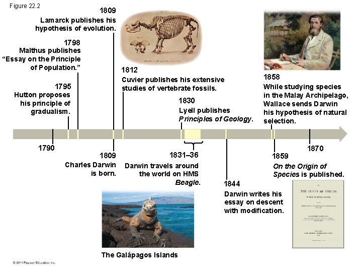 Figure 22. 2 1809 Lamarck publishes his hypothesis of evolution. 1798 Malthus publishes “Essay