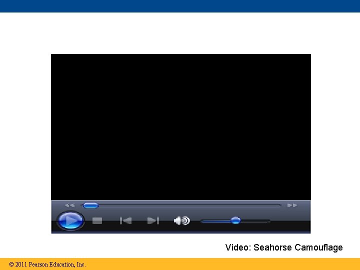 Video: Seahorse Camouflage © 2011 Pearson Education, Inc. 