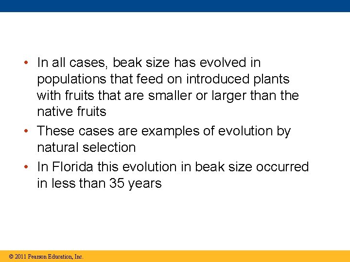  • In all cases, beak size has evolved in populations that feed on
